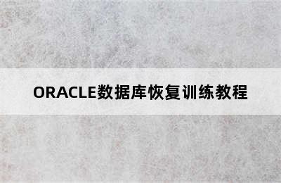 ORACLE数据库恢复训练教程