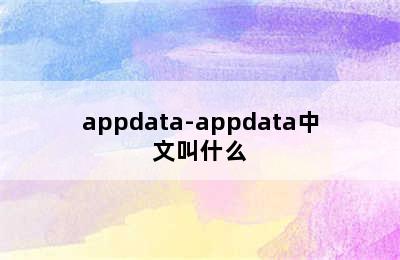 appdata-appdata中文叫什么
