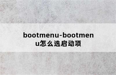 bootmenu-bootmenu怎么选启动项