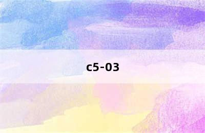 c5-03
