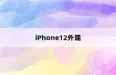 iPhone12外观