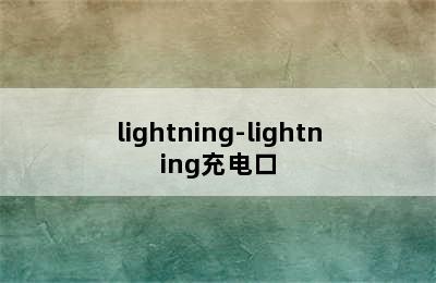 lightning-lightning充电口