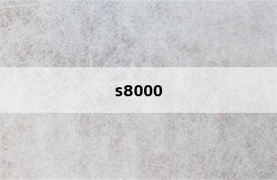 s8000