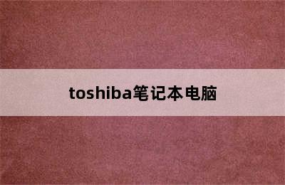 toshiba笔记本电脑