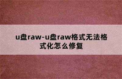 u盘raw-u盘raw格式无法格式化怎么修复