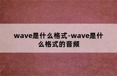 wave是什么格式-wave是什么格式的音频