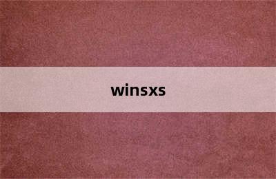 winsxs
