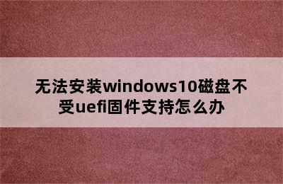 无法安装windows10磁盘不受uefi固件支持怎么办