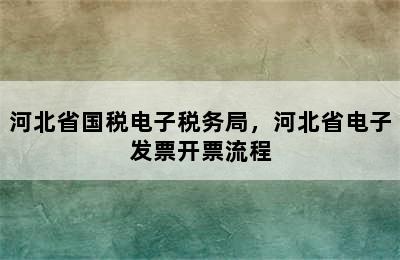 河北省国税电子税务局，河北省电子发票开票流程